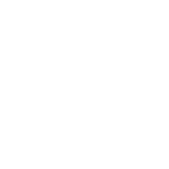 voice assistant icoon